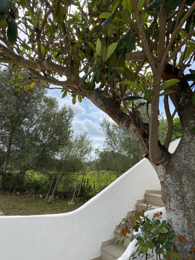 Casa Vacanza Porta Smeralda Olbia Exterior foto
