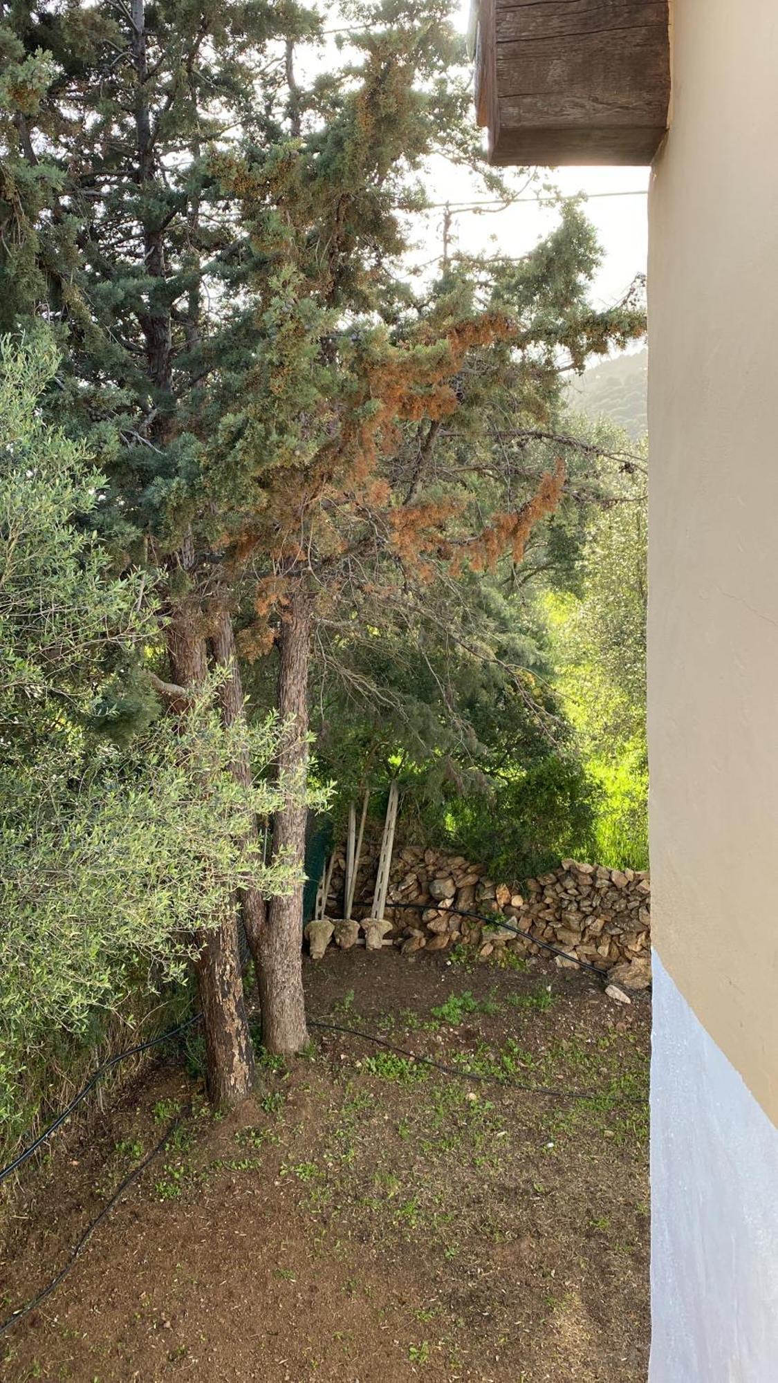 Casa Vacanza Porta Smeralda Olbia Exterior foto